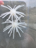 Starberst Mini - White