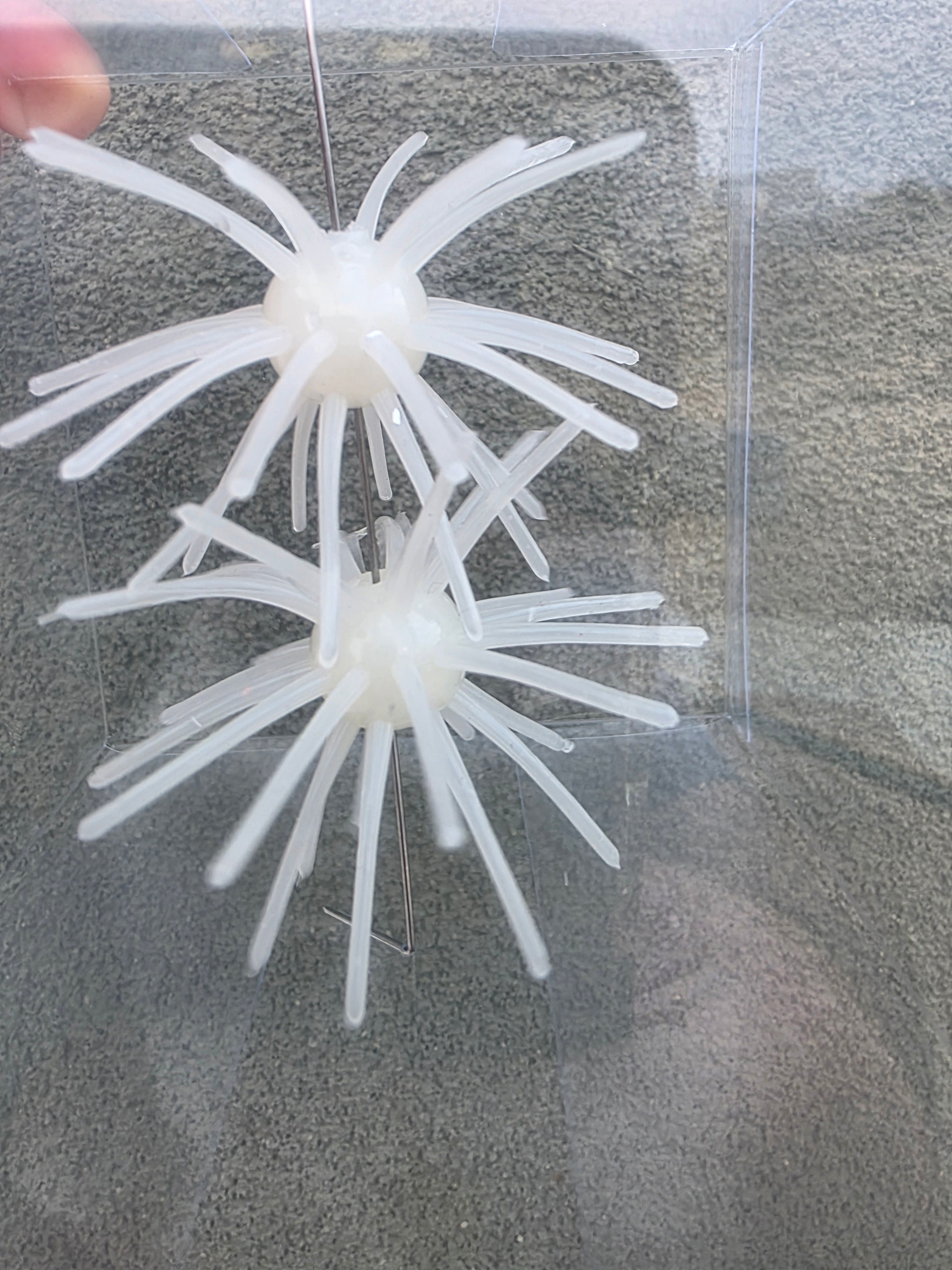 Starberst Mini - White