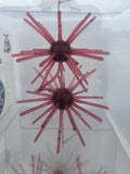 Starberst Mini - Red/Black Flake