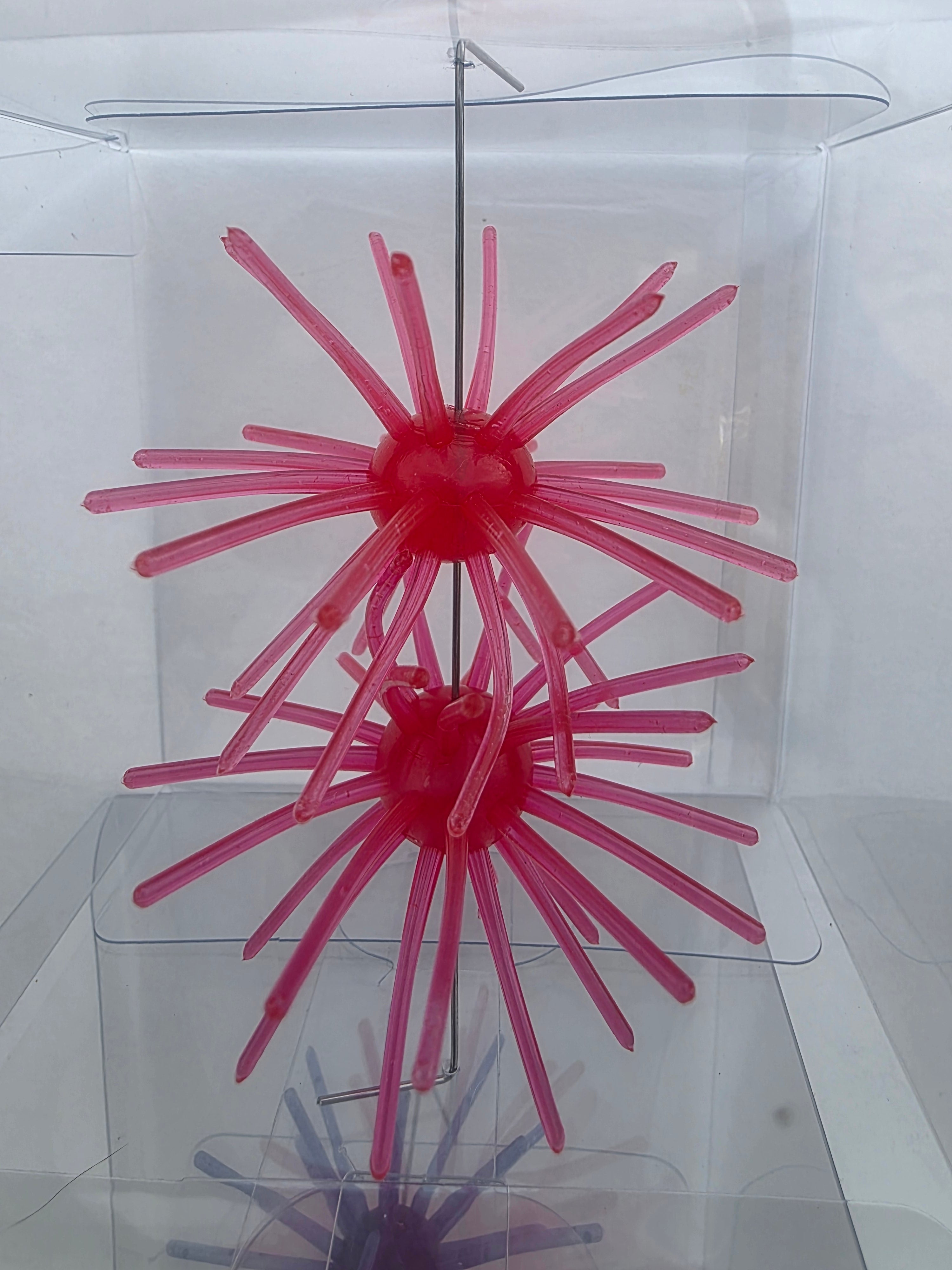 Starberst Mini - Cherry