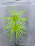 Starberst Mini - Yellow Shot