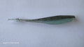 4" PinPoint